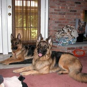 Meet your Posher, Phyllis